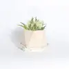 2018 hot wholesale marble terrazzo tiles coaster and pot