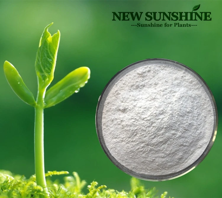 Acetamiprid SP 2.jpg