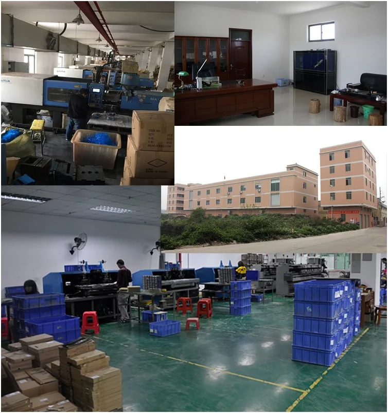 paste-pic-dp_uuid_kr5ru