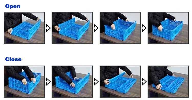 vegetable folding box.jpg