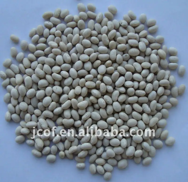 2017 new crop navy type white kidney beans(712)