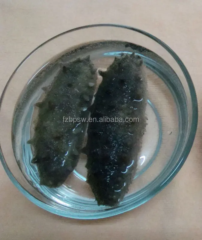 Best Price Dried Sea Cucumbers,Prompt Delivery By Air Buy Fresh Sea