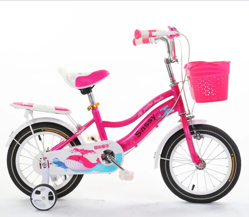 Pink Purple Color Beautiful Cartoon Girl Bicycle 12inch 14inch 16 Inch ...