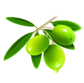 olive leaf diabetes