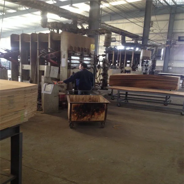 4mm Burma natural teak veneer plywood for india