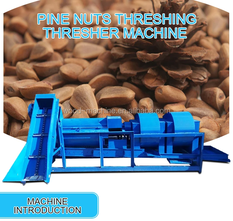 Good Quality Pine Nut Thresher Nut Crusher Machine High Efficiency Pine