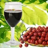 Red jujube natural juice for functional drink beverage concentrate
