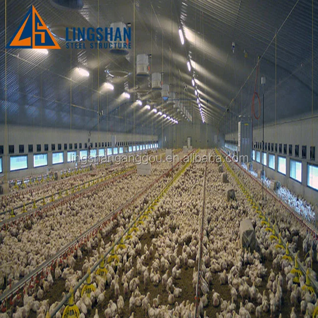Low Cost Control Steel Shed Broiler Poultry House For 