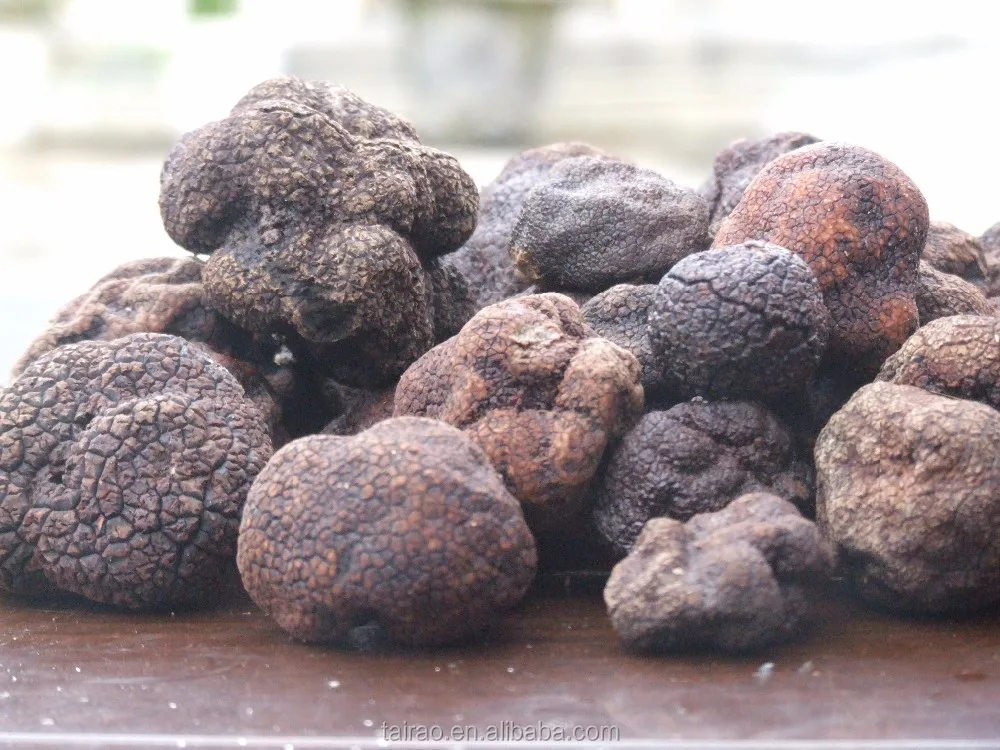 Mushroom Spores Tuber Truffle Slicer Fresh Truffle 46cm,57cm Buy