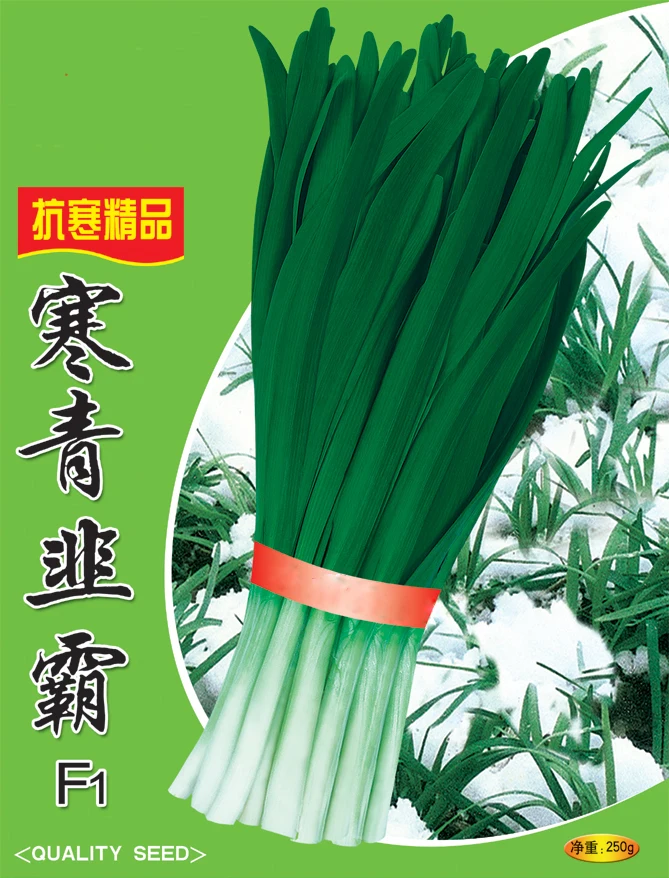 Вырастить китайские семена. Chinese Leek.