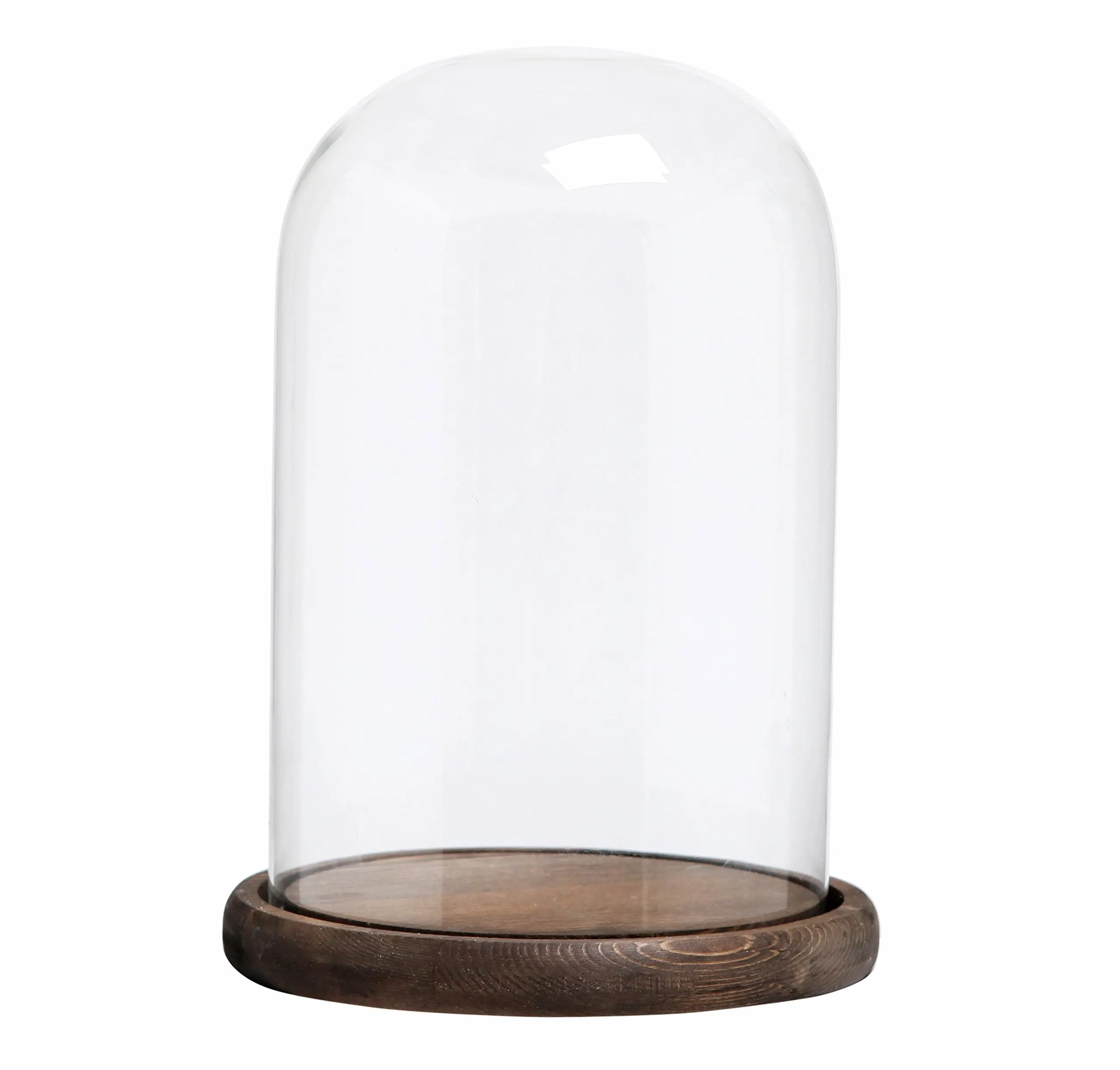 Cheap Glass Dome Bell Jar, find Glass Dome Bell Jar deals on line at