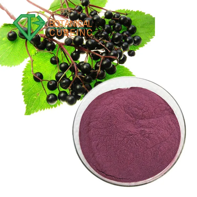 Factory Supply Pain Sambucus Nigra Extract And Black Elderberry Flower