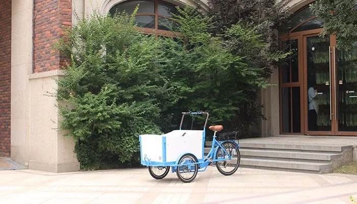 Netherlandscargo tricycle with cabin moped cargo tricycles cargo bicycle for children