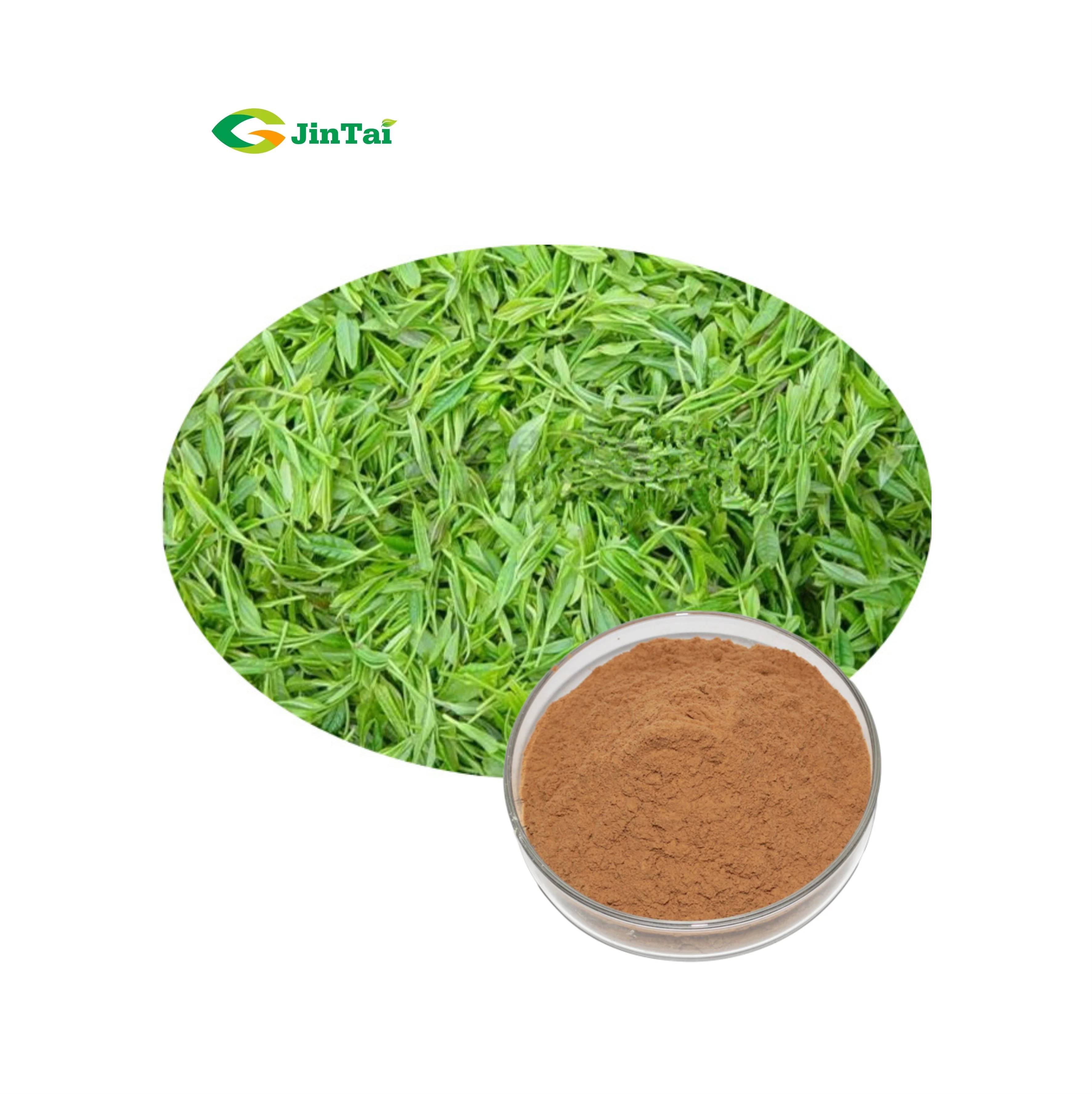 Green Tea Extract Powder Tea Polyphenols 50 Buy Tea Polyphenols