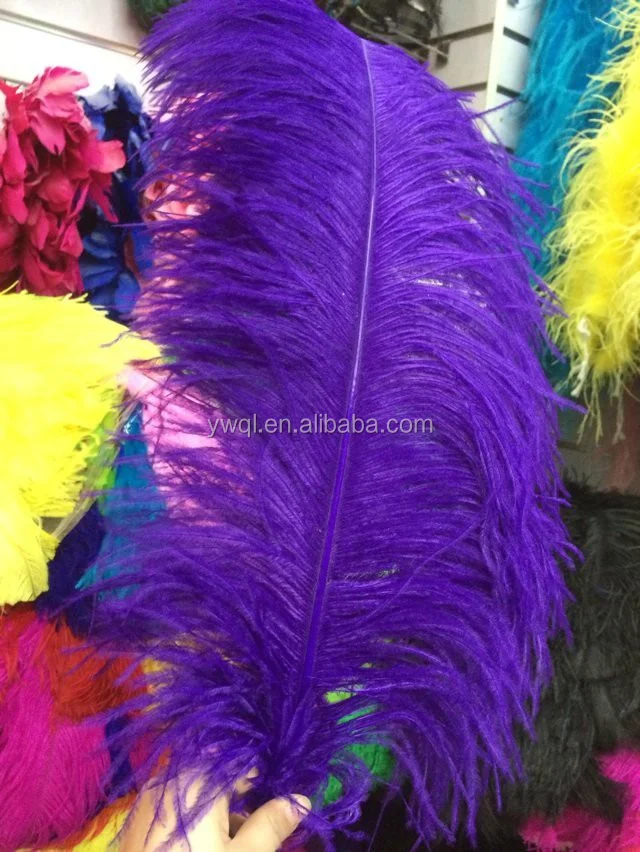ostrich wing feathers