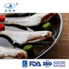 Frozen small size horse face fish / horse-faced fish