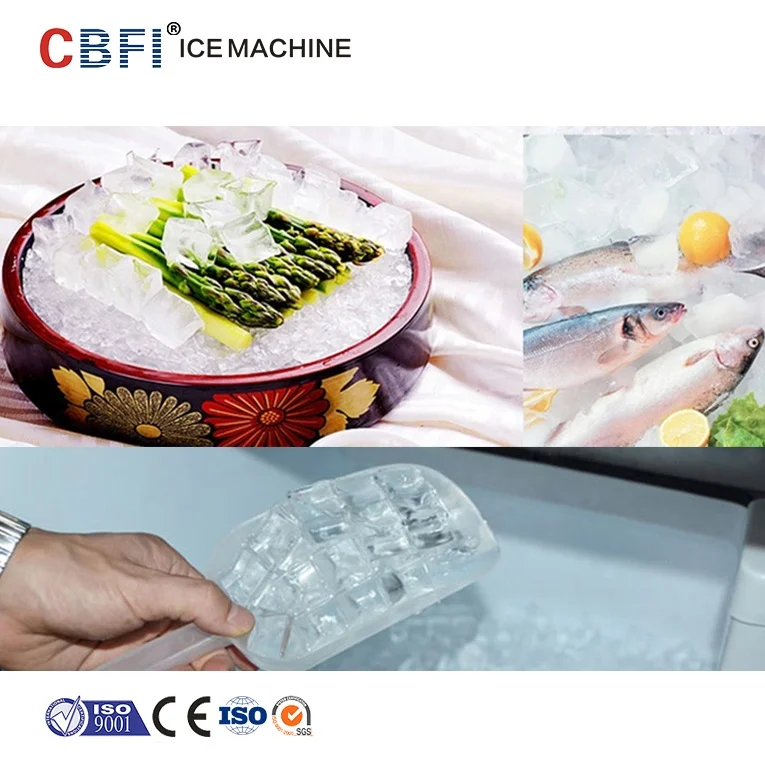 CBFI round ice cube maker plant check now-10