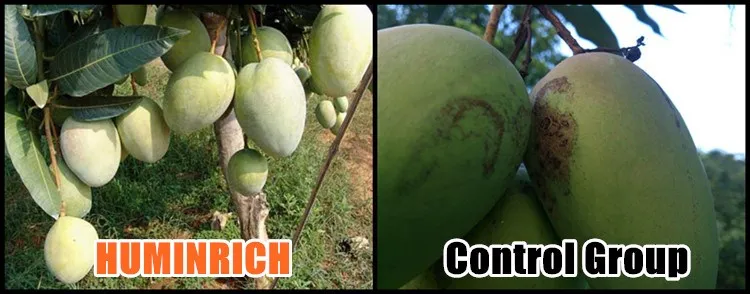 Copper Foliar Fertilizer.jpg