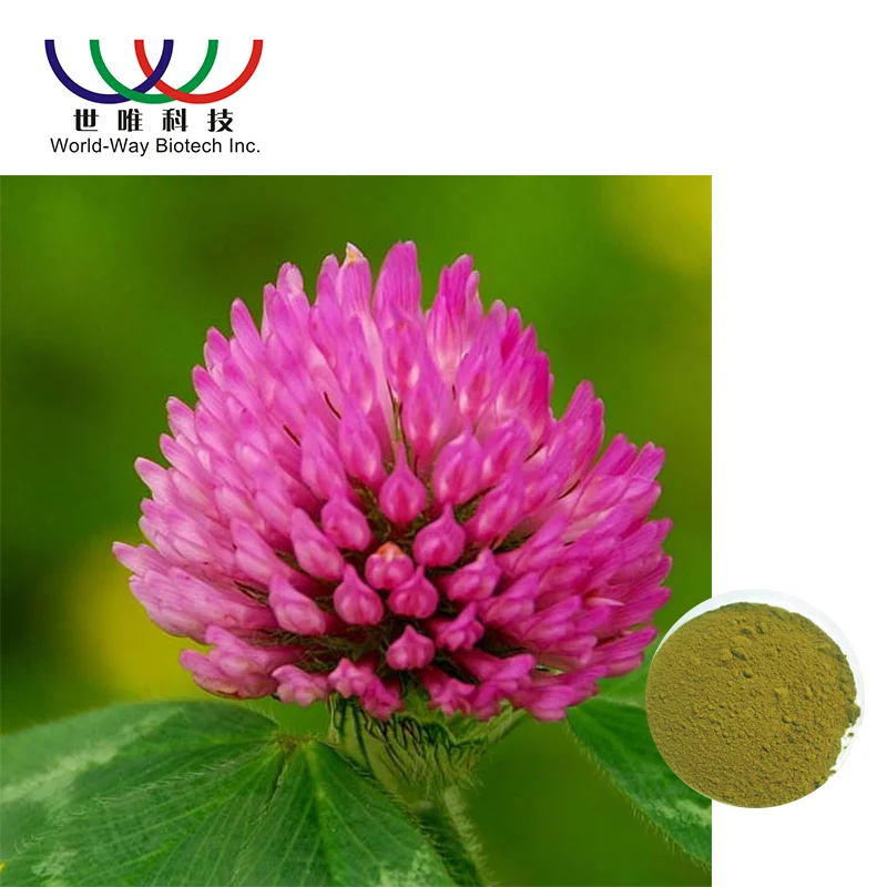 Hypolipidemic Top Grade Red Clover Extract For Women Health Hypolipidemic Top Grade Red Clover Extract For Women Health
