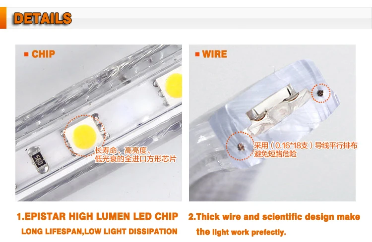 LED Rope Light 9