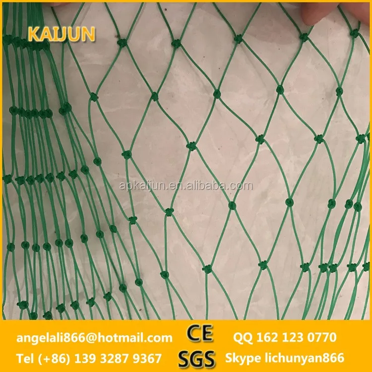 Soccer Baseball Fish Pests