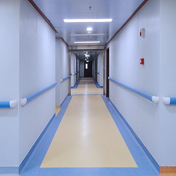 Pvc Handrail For Hospital Walls - Buy Hospital Handrails,Pvc Hospital ...