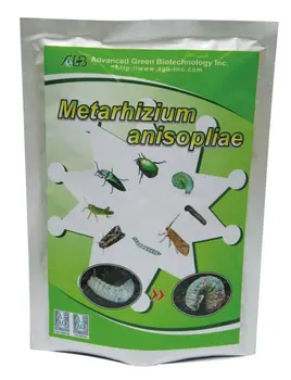 Inseticidas De Metarhizium Ansiopliae - Buy Inseticidas De ...