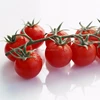 Complete automatic Tomato paste processing line making machine/plant