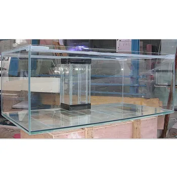 clear glass aquarium