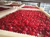 Dry Cherry With Sugar