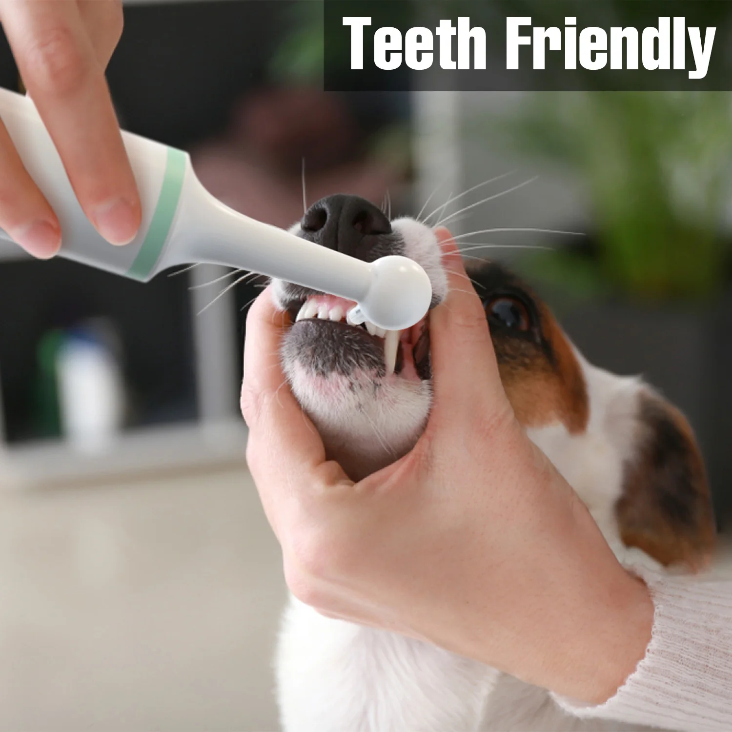 Electrical pet dog dental stain remover eraser plaque remover tooth whitening polisher