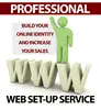 Professional Web Setup Service