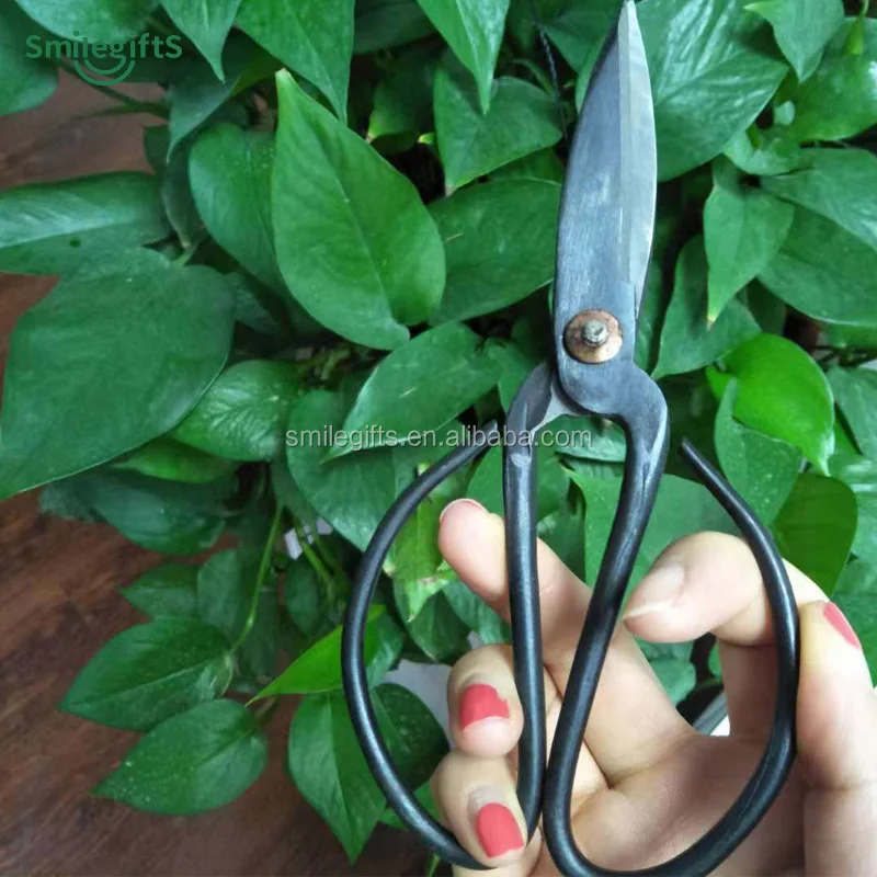 Branch Straight Garden Pruning Shears Japanese Bonsai Flower Scissors