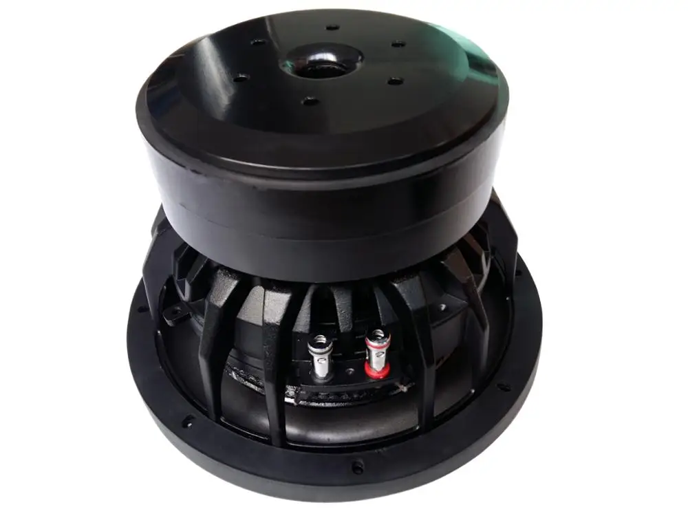 10 inch subwoofer  .jpg