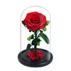 Wholesale Red Beauty and the Beast Everlasting Rose Birthday Gift Valentine's Day Gifts Preserved Rose In Glass Dome
