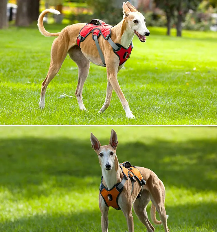 项目 狗步行训练徒步运动网格狗带 材料 尼龙 大小