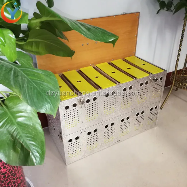 12 Hole Racing Pigeon Cage For Transport Crate Box Stainless Steel