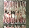 Frozen red loligo squid Argentina for restaurant