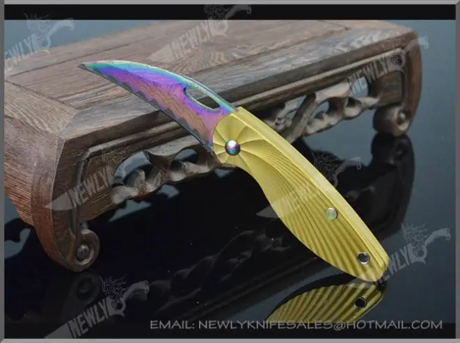 Handmade Wood Handle Abalone Damascus Knife