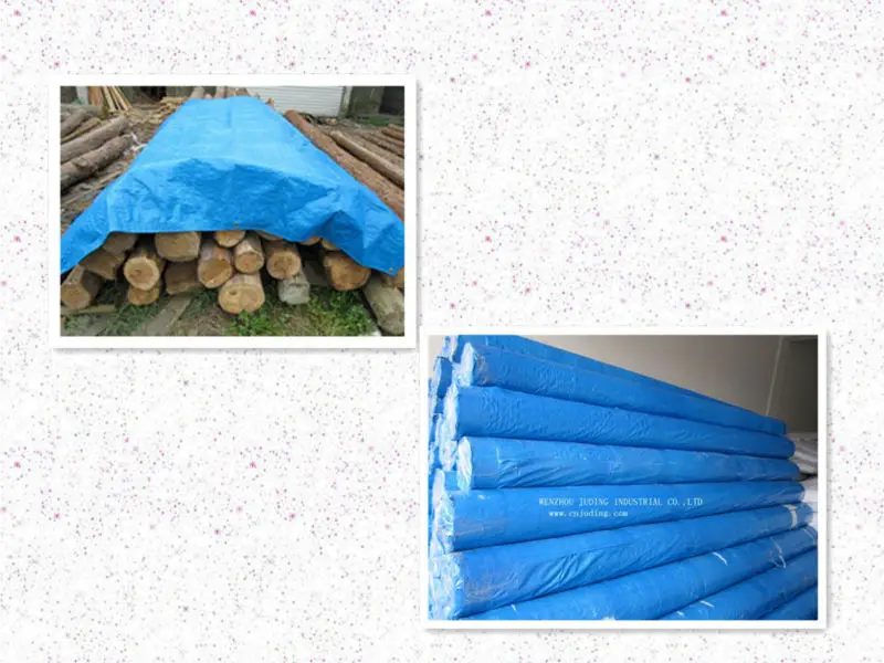 tarps 60.jpg