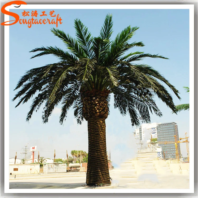 Outdoor Artificial Date Palm Saudi Arabia Palm Tree Tops Date Palm
