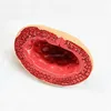medical domain human urocyst anatomy model