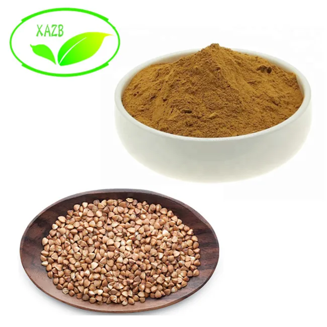 Xazb Supply High Quality Buckwheat Extract/buckwheat Seed Extract