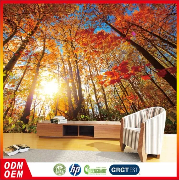 森の風景壁画自然の森の壁紙カスタム印刷された日光の木の壁紙 Buy 自然印刷壁紙 森林シーン壁画 カスタム印刷された日光ツリー壁紙 Product On Alibaba Com