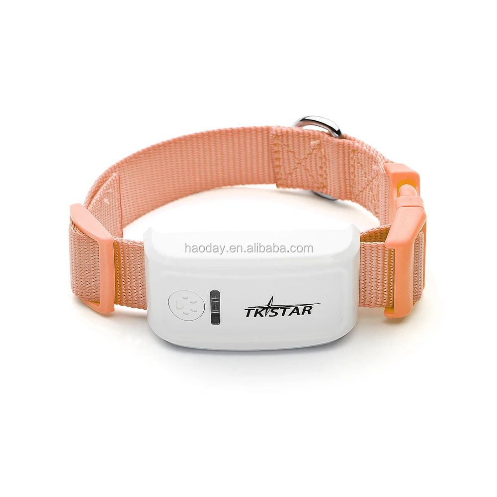 pig dog tracking collars