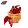 HACCP/ HALAL H.S. 090420 Dry Red Chilli without Stalk, Dry Chilli, Dry Red Chilli Importers