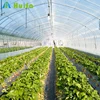Huifa Energy Saving Sunlight Winter Greenhouse with Heating Fans