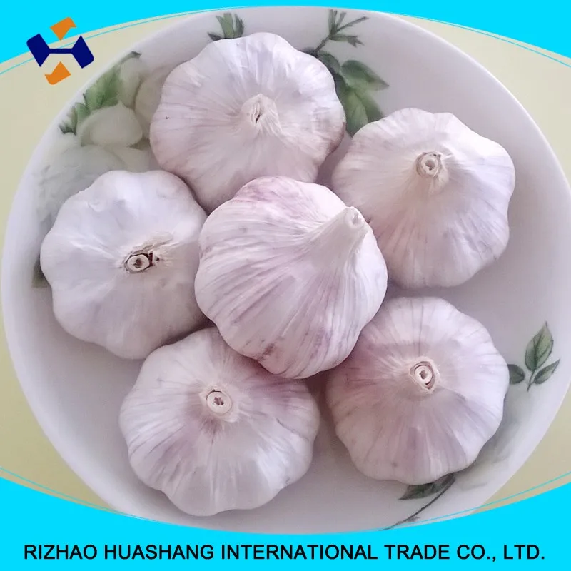 red fresh garlic size4.0cm