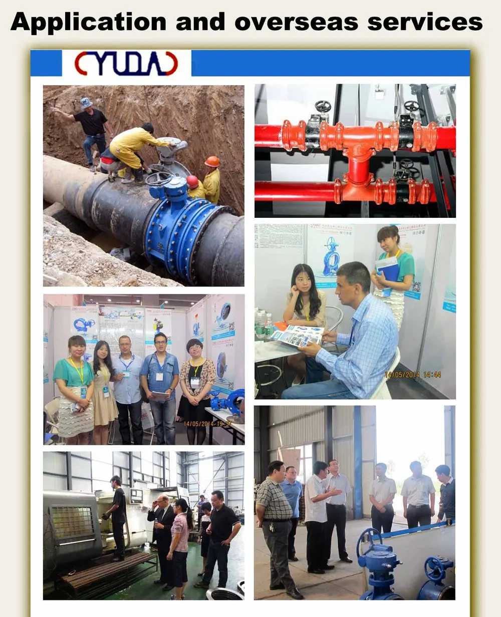 Application and overseas services.jpg