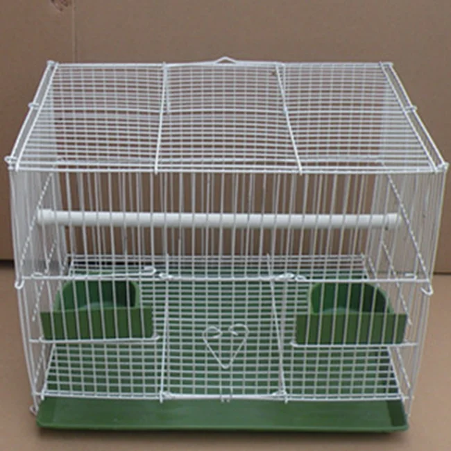 pigeon bird cage